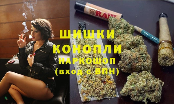 дживик Новодвинск