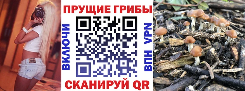 цены   Нижняя Тура  Галлюциногенные грибы ЛСД 